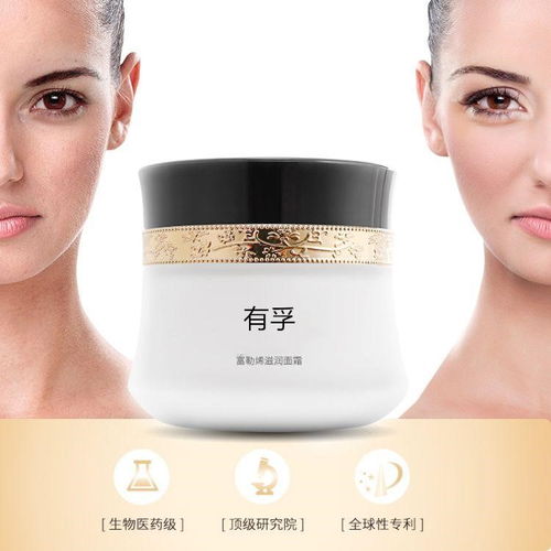 化妆品的分类概览